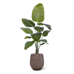 Pianta artificiale di Strelitzia Nicolai 150cm