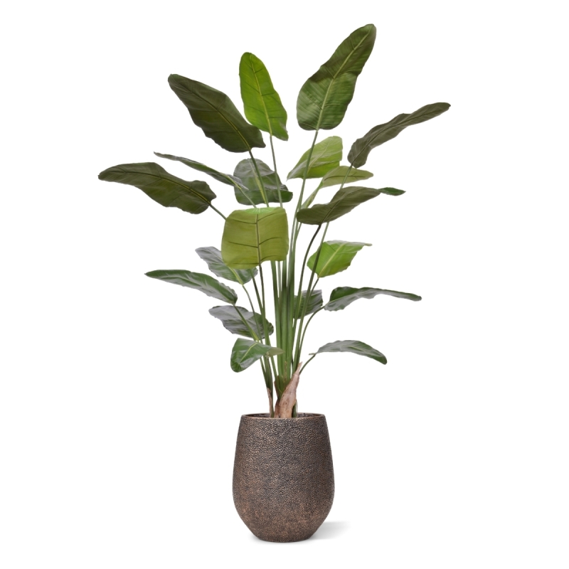 Pianta Artificiale Strelitzia Nicolai 230cm Deluxe