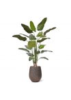 Pianta Artificiale Strelitzia Nicolai 230cm Deluxe