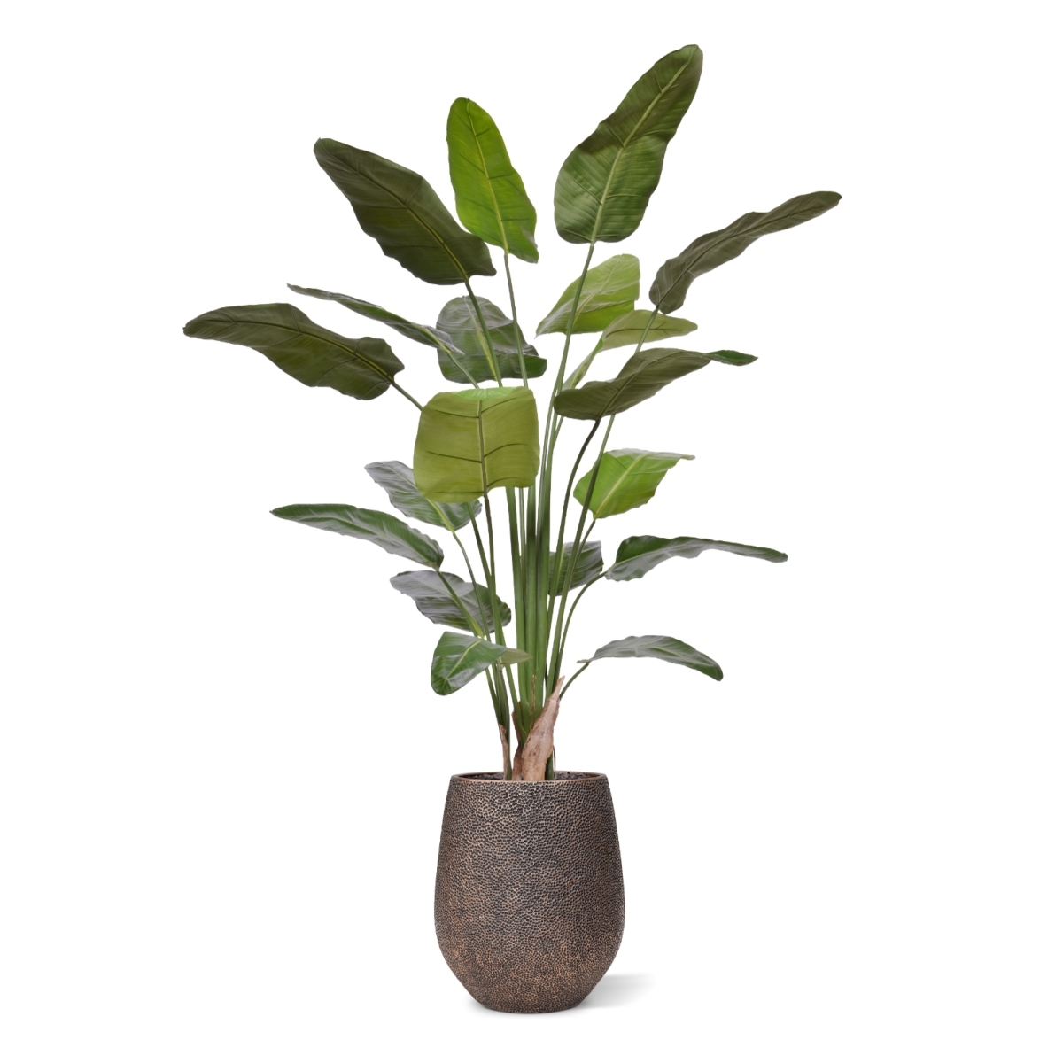 Pianta Artificiale Strelitzia Nicolai 230cm Deluxe