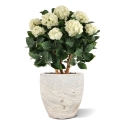 Ortensia Artificiale UV Deluxe 80cm Crema