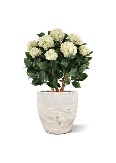 Ortensia Artificiale UV Deluxe 80cm Crema