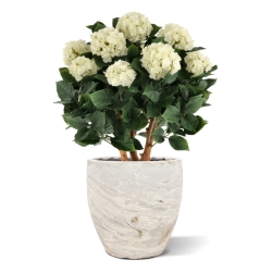 Ortensia Artificiale UV Deluxe 80cm Crema