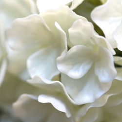Ortensia Artificiale UV Deluxe 80cm Crema
