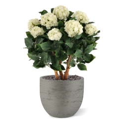 Ortensia Artificiale UV Deluxe 80cm Crema