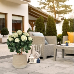 Ortensia Artificiale UV Deluxe 80cm Crema