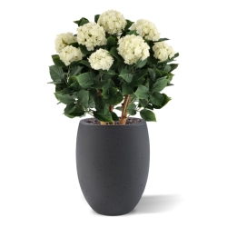 Ortensia Artificiale UV Deluxe 80cm Crema