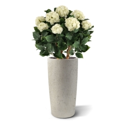 Ortensia Artificiale UV Deluxe 80cm Crema
