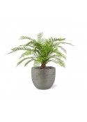 Pianta artificiale di felce Alsophillia XXL 80cm - resistente ai raggi UV