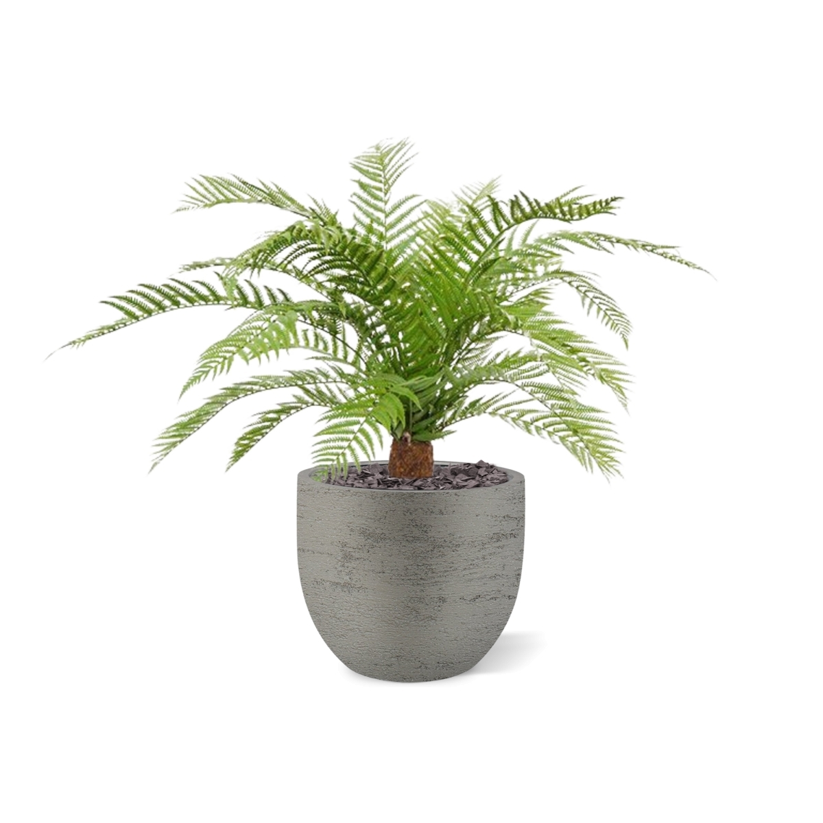 Pianta artificiale di felce Alsophillia XXL 80cm - resistente ai raggi UV