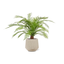 Pianta artificiale di felce Alsophillia XXL 80cm - resistente ai raggi UV
