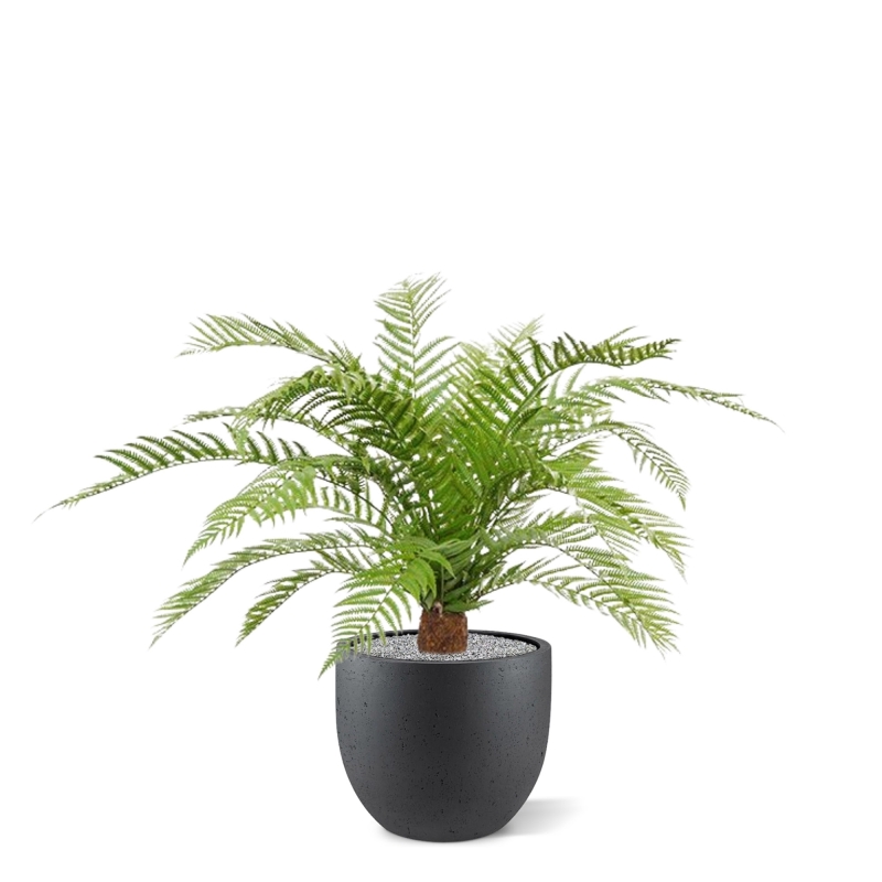 Pianta artificiale di felce Alsophillia XXL 80cm - resistente ai raggi UV