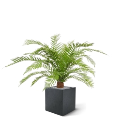 Pianta artificiale di felce Alsophillia XXL 80cm - resistente ai raggi UV
