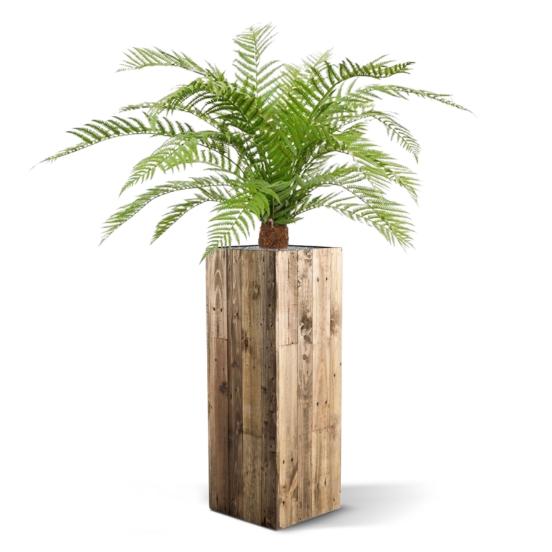 Pianta artificiale di felce Alsophillia XXL 80cm - resistente ai raggi UV
