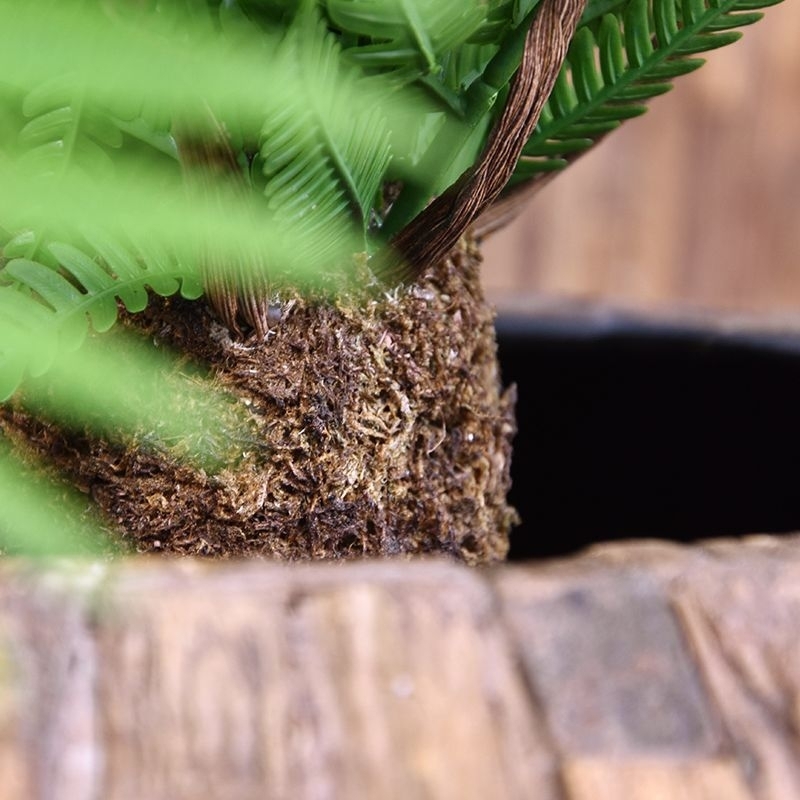Pianta artificiale di felce Alsophillia XXL 80cm - resistente ai raggi UV