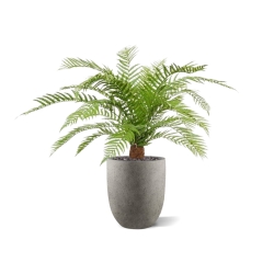 Pianta artificiale di felce Alsophillia XXL 80cm - resistente ai raggi UV