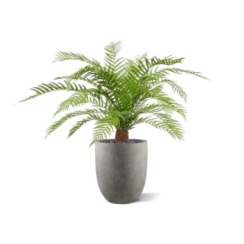 Pianta artificiale di felce Alsophillia XXL 80cm - resistente ai raggi UV