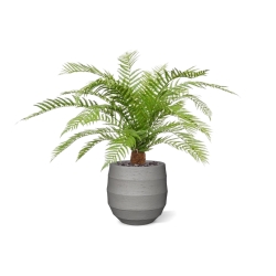 Pianta artificiale di felce Alsophillia XXL 80cm - resistente ai raggi UV
