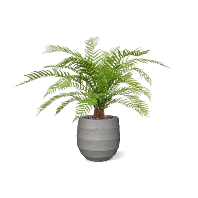 Pianta artificiale di felce Alsophillia XXL 80cm - resistente ai raggi UV