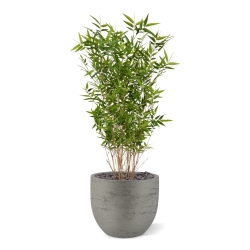 Pianta artificiale di bambù orientale 100 cm