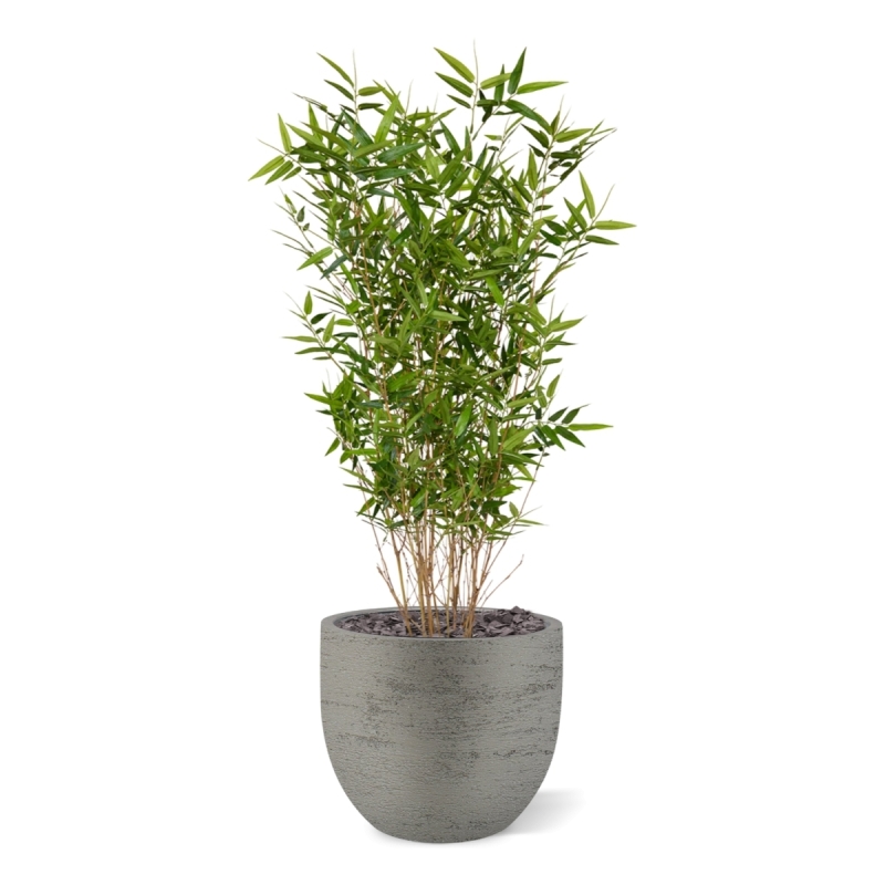 Pianta artificiale di bambù orientale 100 cm