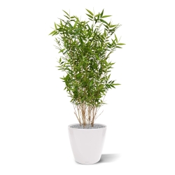 Pianta artificiale di bambù orientale 100 cm