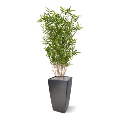 Pianta artificiale di bambù orientale 100 cm