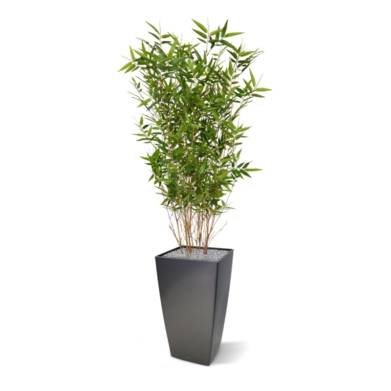 Pianta artificiale di bambù orientale 100 cm