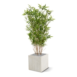 Pianta artificiale di bambù orientale 100 cm