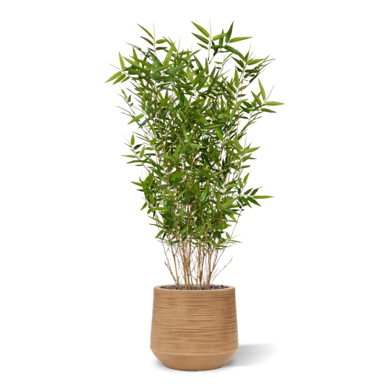 Pianta artificiale di bambù orientale 100 cm