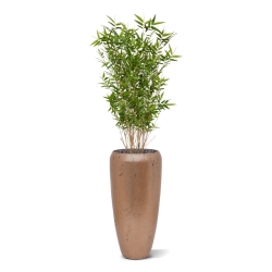 Pianta artificiale di bambù orientale 100 cm