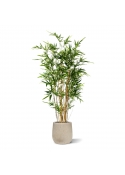 Bambù artificiale variegato 170 cm