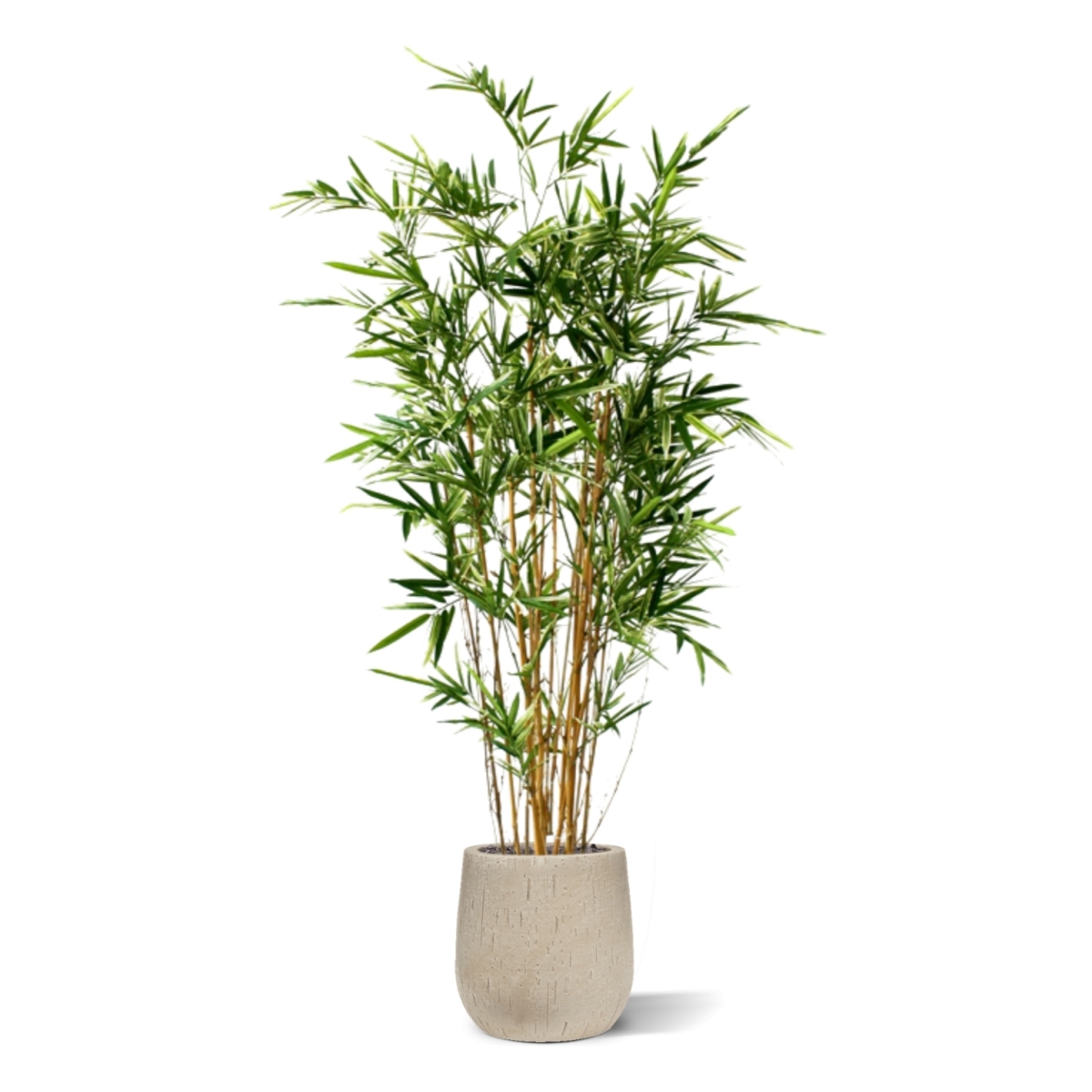 Bambù artificiale variegato 170 cm