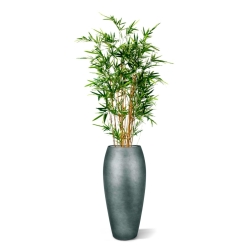 Bambù artificiale variegato 170 cm