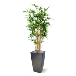 Bambù artificiale variegato 170 cm
