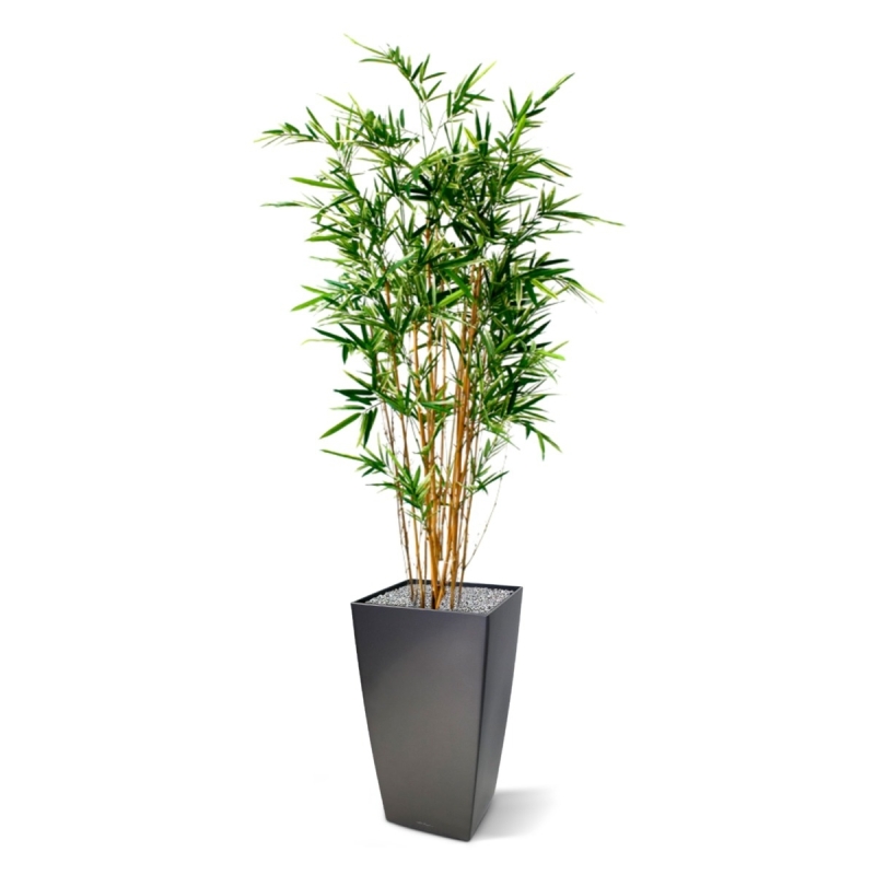 Bambù artificiale variegato 170 cm