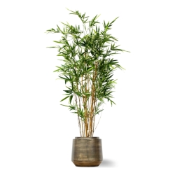 Bambù artificiale variegato 170 cm