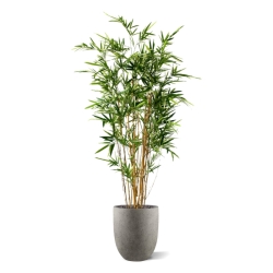 Bambù artificiale variegato 170 cm
