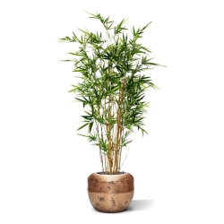 Bambù artificiale variegato 170 cm