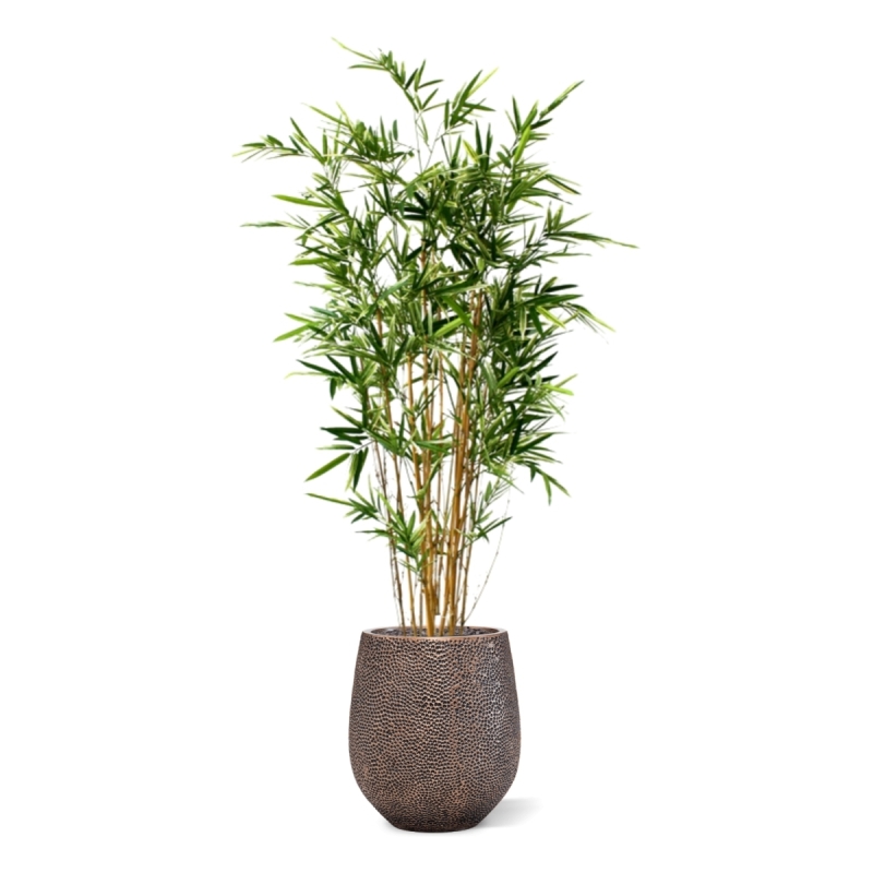 Bambù artificiale variegato 170 cm