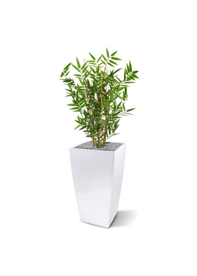 Pianta artificiale di bambù giapponese da 60 cm - resistente ai raggi UV