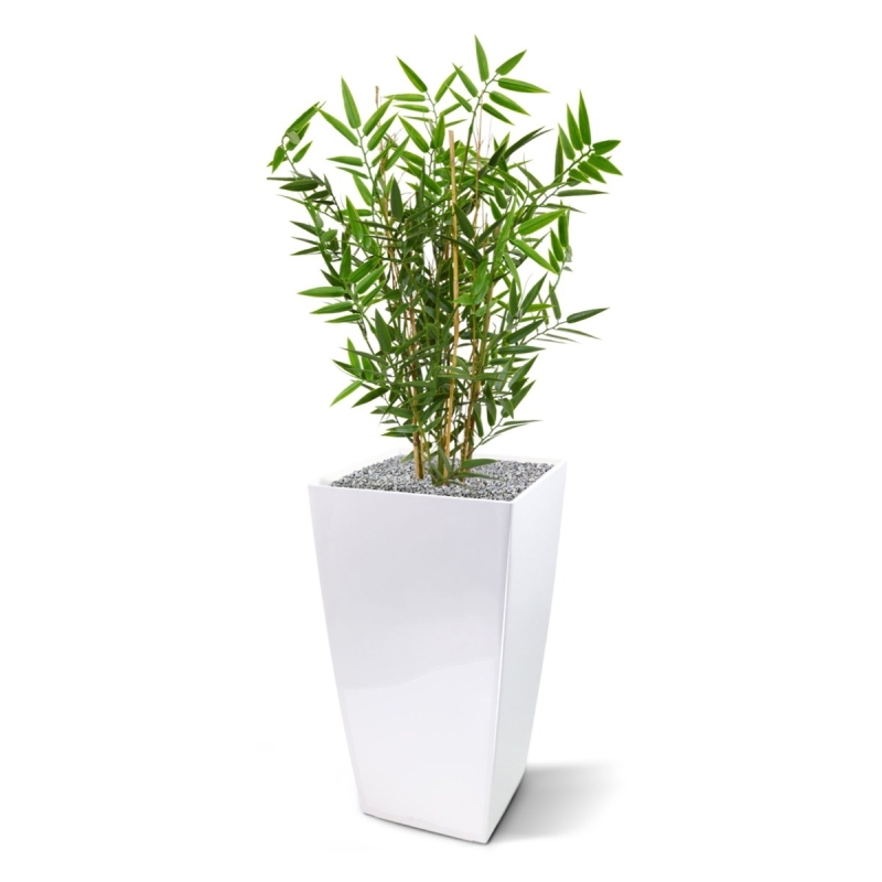 Pianta artificiale di bambù giapponese da 60 cm - resistente ai raggi UV