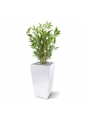 Pianta artificiale di bamb&ugrave; giapponese da 60 cm - resistente ai raggi UV