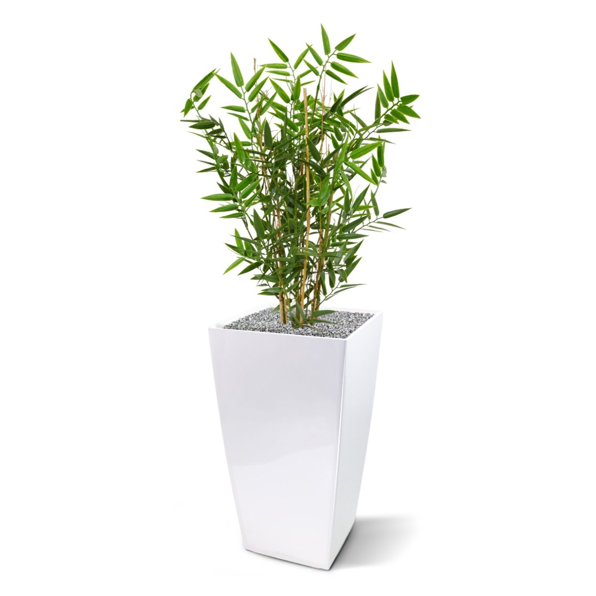 Pianta artificiale di bambù giapponese da 60 cm - resistente ai raggi UV