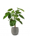 Pianta artificiale Pothos deluxe 90 cm