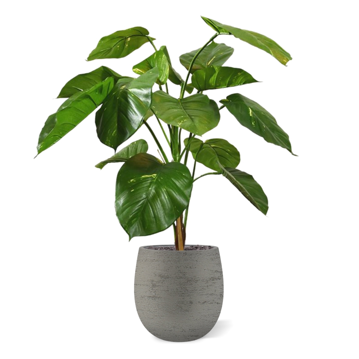 Pianta artificiale Pothos deluxe 90 cm