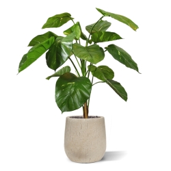 Pianta artificiale Pothos deluxe 90 cm