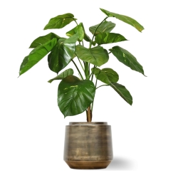 Pianta artificiale Pothos deluxe 90 cm