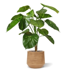 Pianta artificiale Pothos deluxe 90 cm