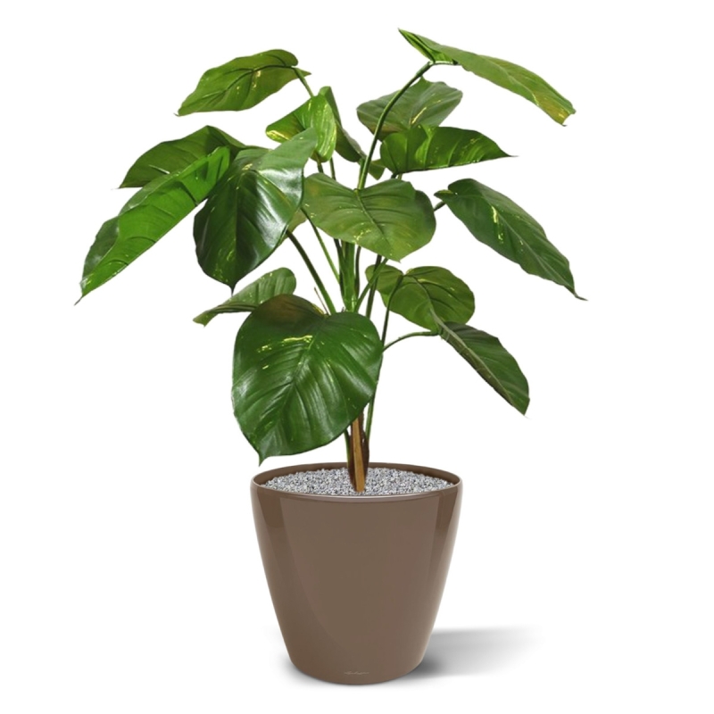 Pianta artificiale Pothos deluxe 90 cm